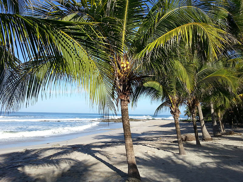 Sud de Nicoya Santa Teresa